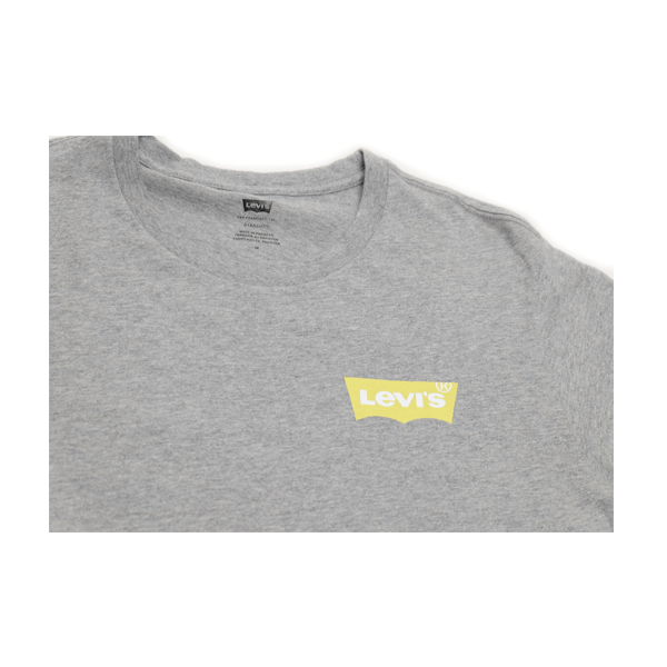 Levi's® Skate - Graphic T-Shirt - Heather Grey SALE