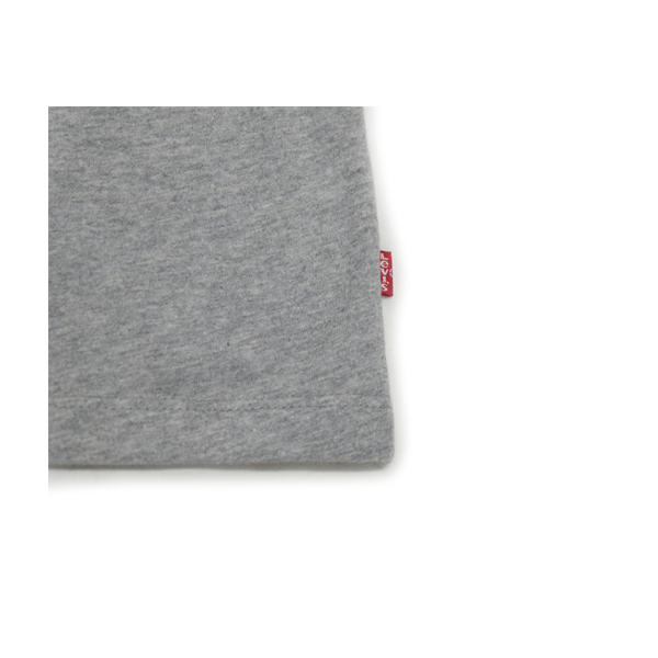 Levi's® Skate - Graphic T-Shirt - Heather Grey SALE