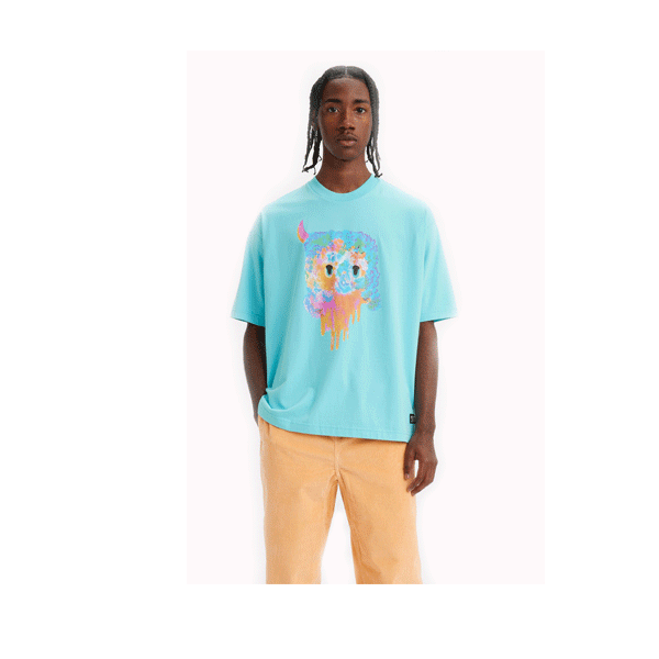 Levi's® Skate - Graphic Box T-Shirt - Bask Blue SALE